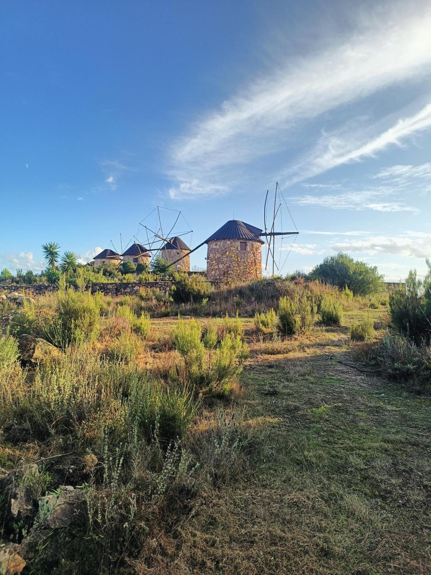 Villa Moinho Da Alfazema Penacova Exterior foto
